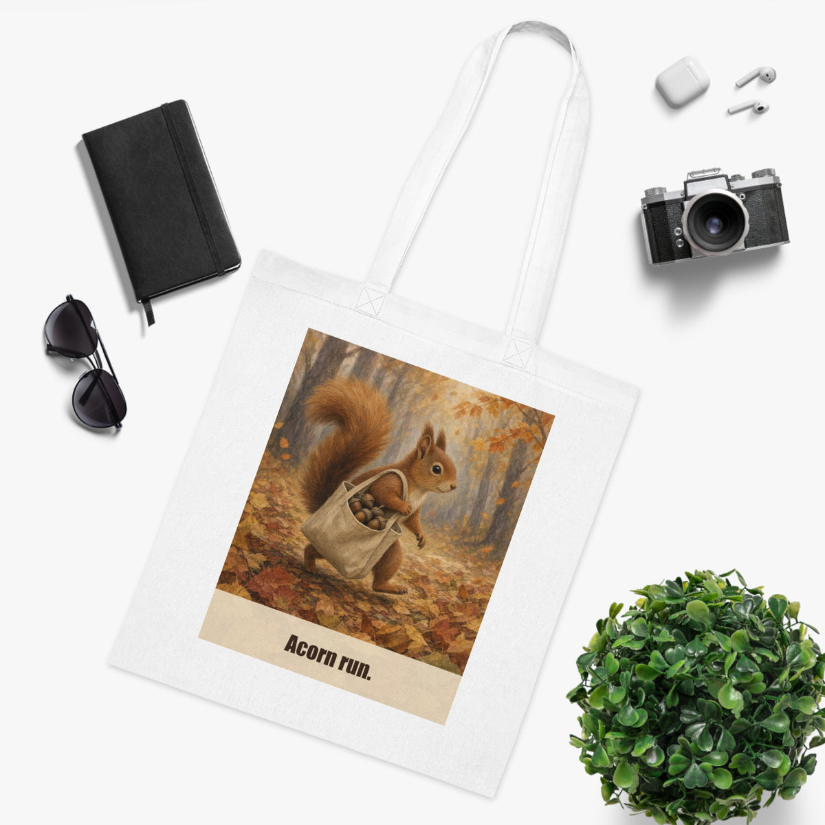 Acorn Run