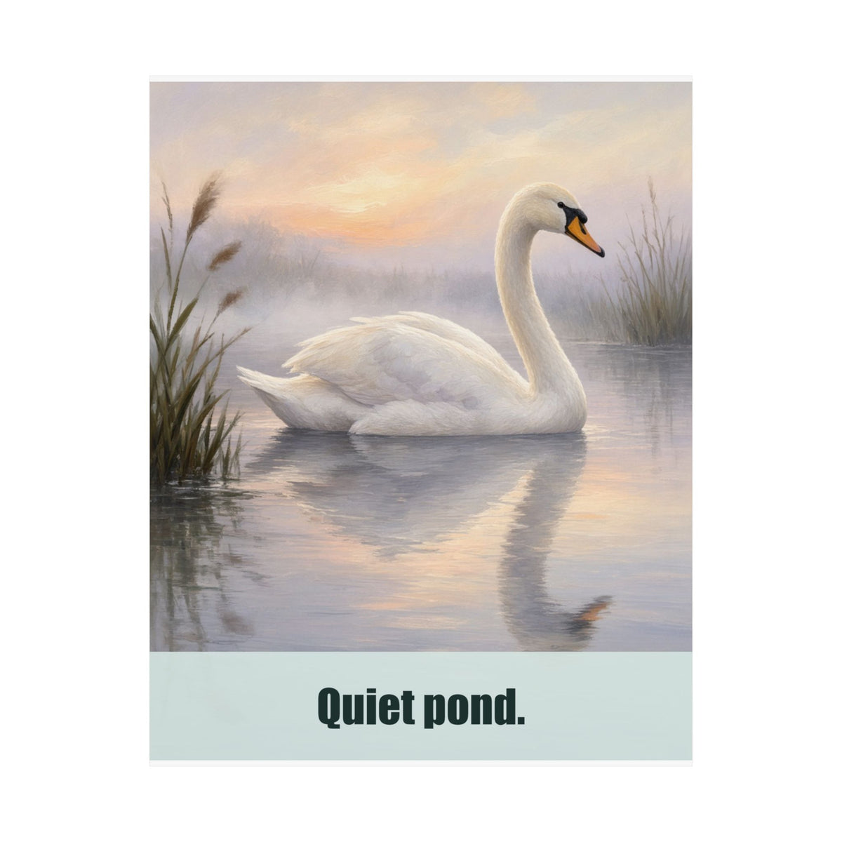 Quiet Pond