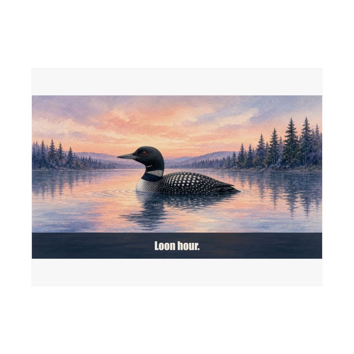 Loon Hour