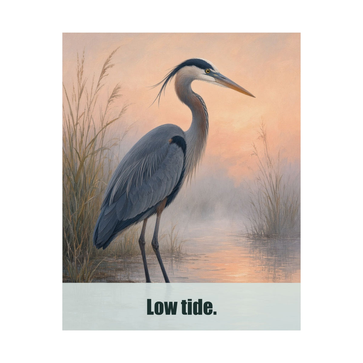 Low Tide
