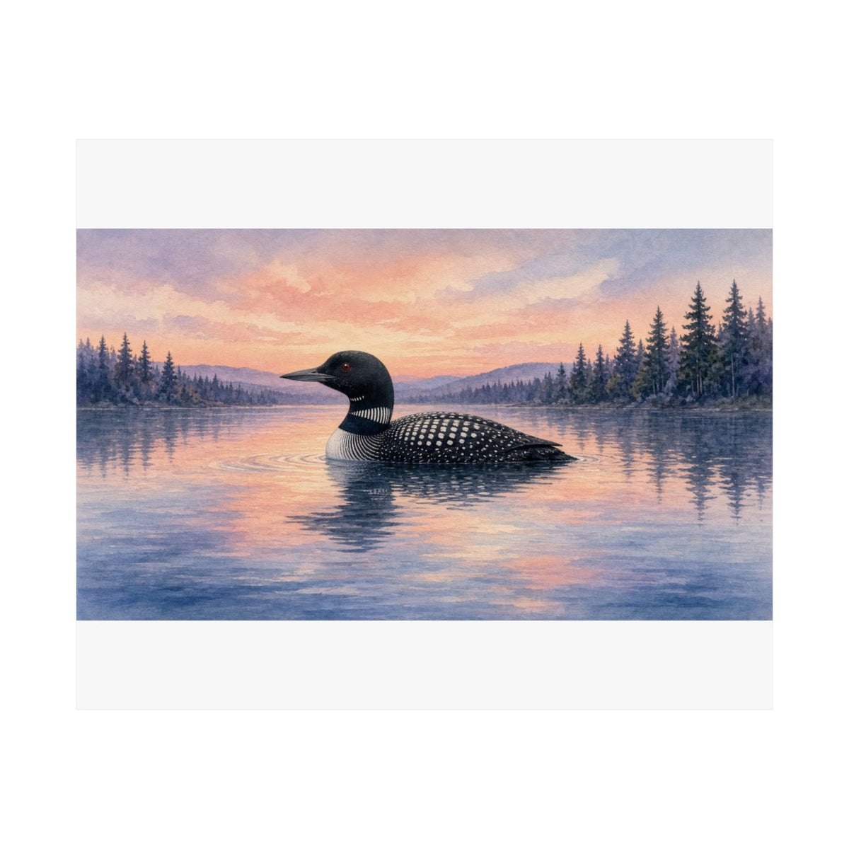 Loon Hour