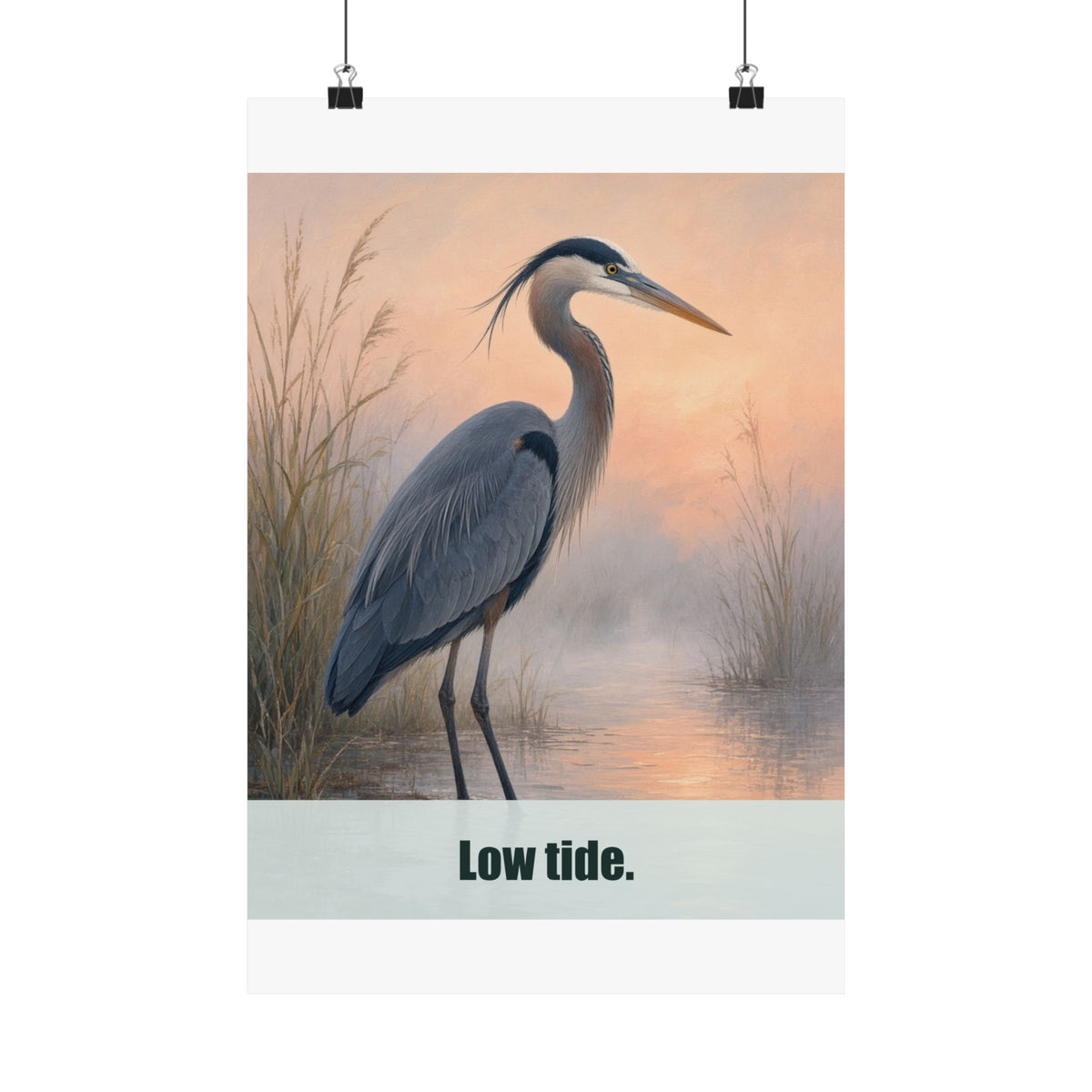 Low Tide