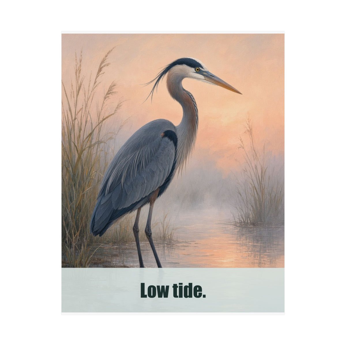 Low Tide